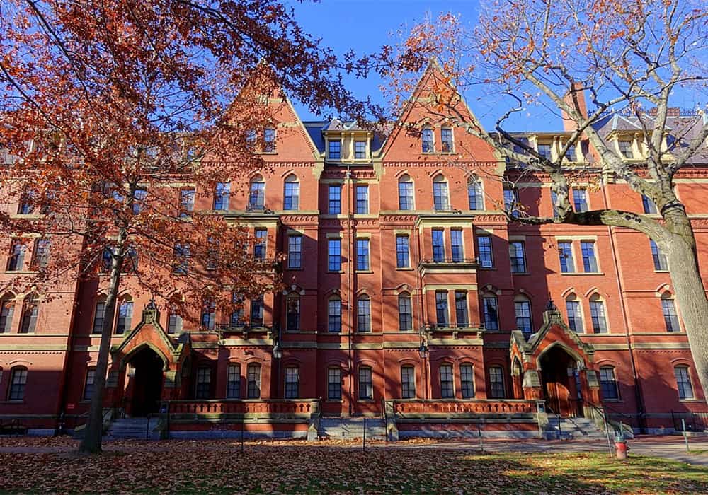 Professora da Faculdade Paulo Picanço Ministra Aula em Harvard